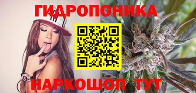 ALPHA PVP Ставрополь