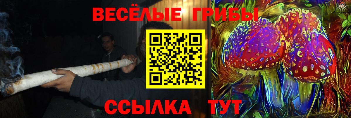 Галлюциногенные грибы MAGIC MUSHROOMS  Галлюциногенные грибы Magic Shrooms  Отрадное  Вход с VPN 