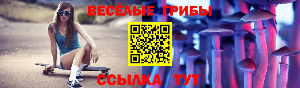 Галлюциногенные грибы Cubensis Отрадное
